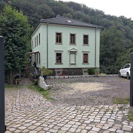 Idyllische Ferienwohnung In Zentrumsnaehe دريسدن المظهر الخارجي الصورة