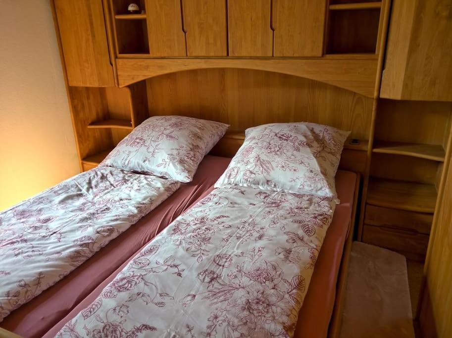 Idyllische Ferienwohnung In Zentrumsnaehe دريسدن المظهر الخارجي الصورة
