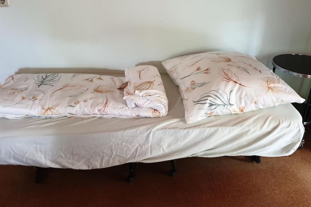 Idyllische Ferienwohnung In Zentrumsnaehe دريسدن المظهر الخارجي الصورة