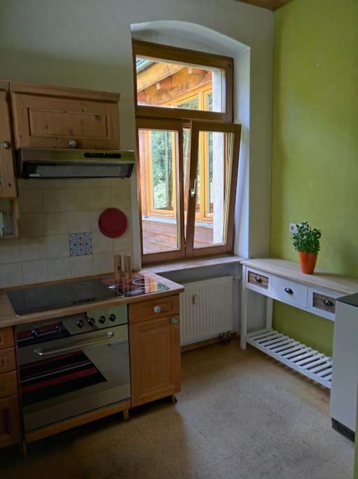 Idyllische Ferienwohnung In Zentrumsnaehe دريسدن المظهر الخارجي الصورة