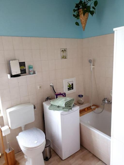 Idyllische Ferienwohnung In Zentrumsnaehe دريسدن المظهر الخارجي الصورة